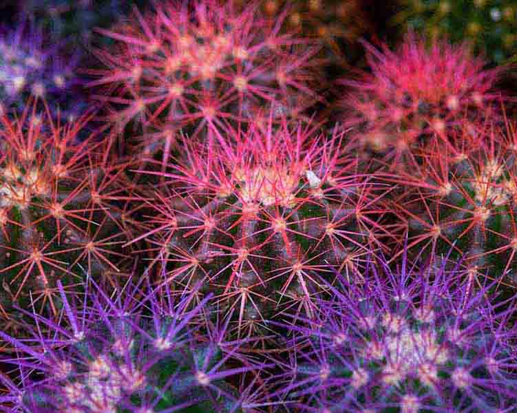 Critical IP spoofing bug patched in Cacti