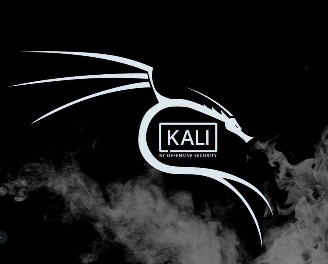 Kali Linux Whats next for the popular pentesting distro?