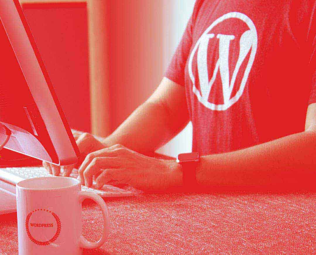 Brutal WordPress plugin bug allows subscribers to wipe sites